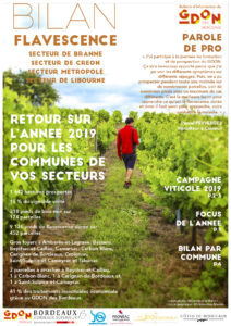 Bilan Flavescence 2019 : secteurs de Branne, de Créon, de Libourne et de la Métropole