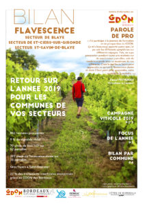 Bilan Flavescence 2019 : secteurs de Blaye, de Saint-Ciers-sur-Gironde et de Saint-Savin-de-Blaye