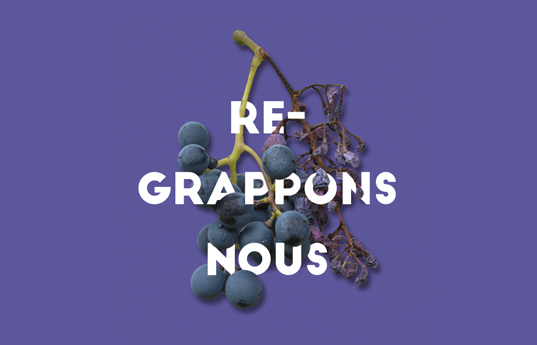 De nouvelles actions participatives en 2024