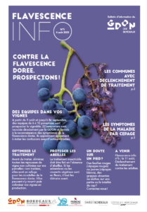 Flavescence Info n°5