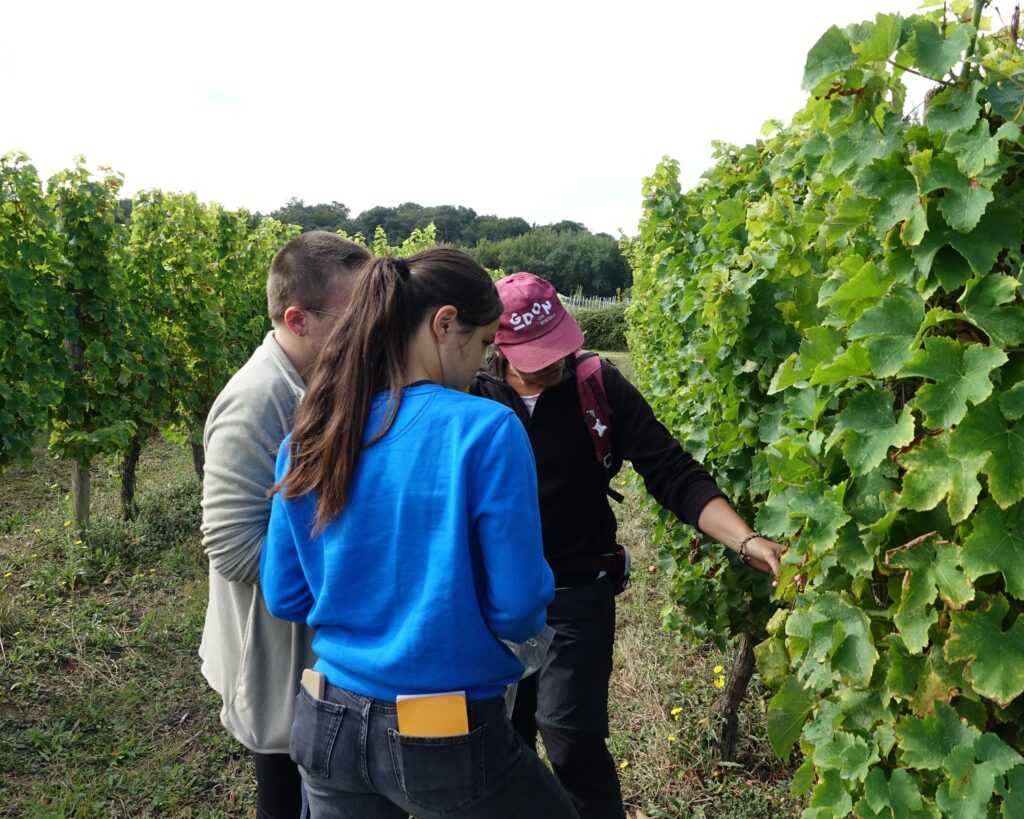 Journée avec les étudiants de la MFR de Vayres