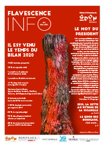 Flavescence Info n°1 – 2021