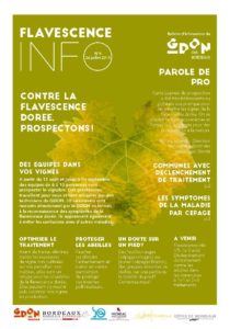 Flavescence Info n°4 – 2020