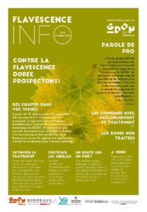 Flavescence Info n°4