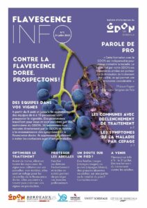 Flavescence Info n°5 – 2020