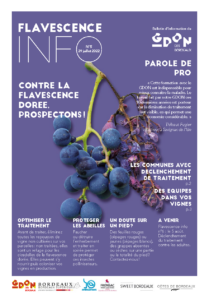 Flavescence Info n°5 – 2022