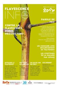 Flavescence Info n°6 – 2022