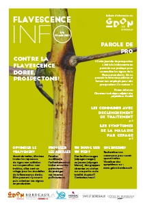 Flavescence Info n°6 – 2021