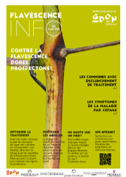 Flavescence Info n°6
