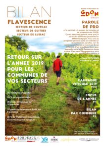 Bilan Flavescence 2019 : secteurs Guîtres, Coutras, Lussac