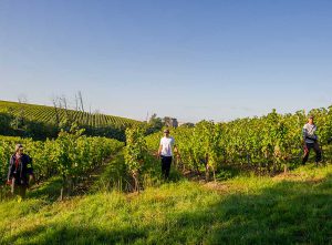 Saisonniers sur le vignoble bordelais