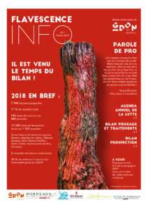 Flavescence Info n°1 – 2019