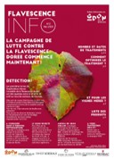 Flavescence Info n°2