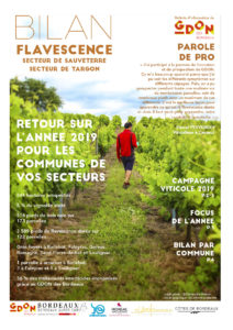 Bilan Flavescence 2019 : secteurs de Sauveterre et de Targon