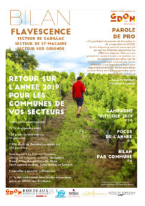 Bilan Flavescence 2019 : secteurs de Cadillac, de sud Gironde et de Saint Macaire