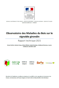 Rapport technique complet maladies du bois 2021